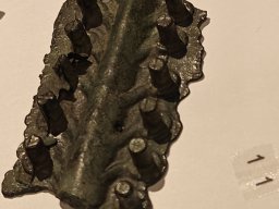 Ha Keramik Kelheim 2023