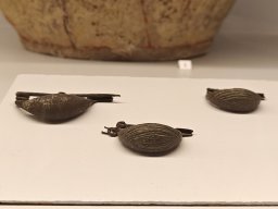 Museo Etrusco Volterra 2024