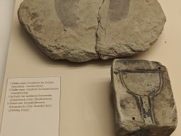 Gäubodenmuseum Schwabing 2025