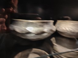 Gäubodenmuseum Schwabing 2025